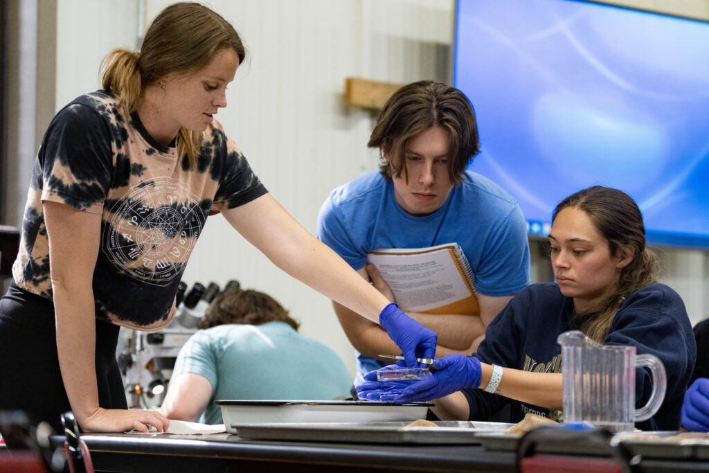 Student sitting down holds a petri dish while another student examines closely and another holds an object close to the dish