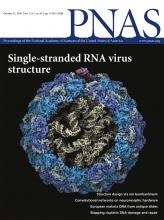 Cryo-EM structure of a single-stranded RNA bacteriophage.