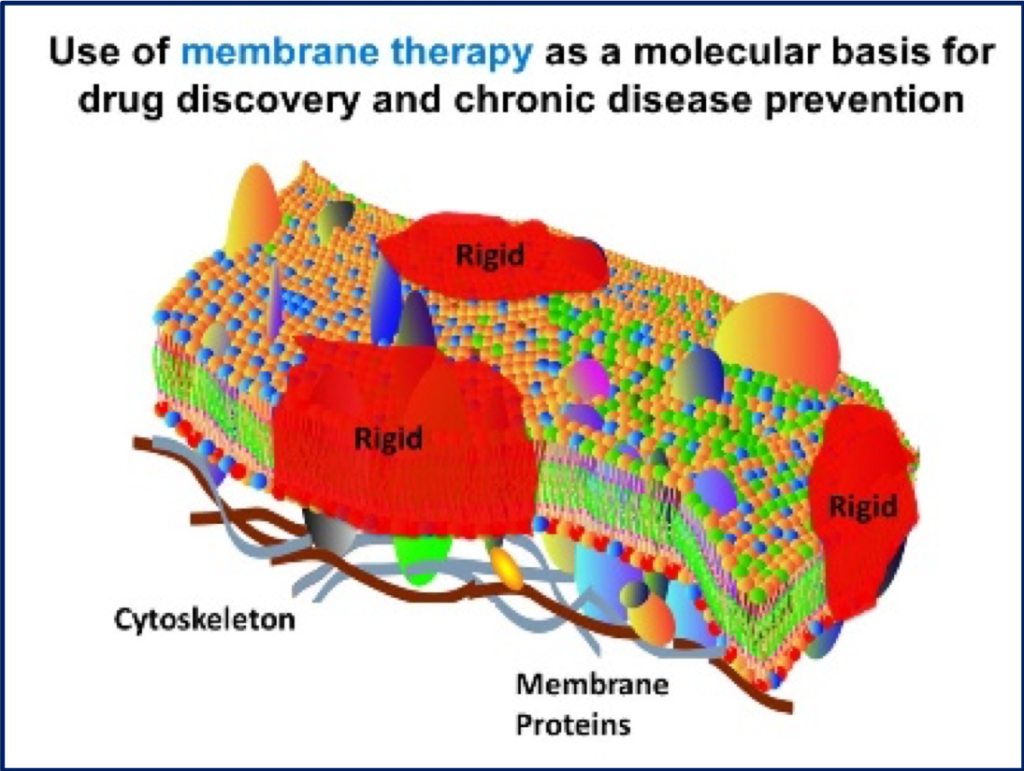 The compartmentalization of lipid-protein assemblies into specialized domains in the plasma membrane. 