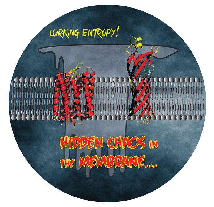 We have discovered that membrane proteins have extraordinary side-chain motion on the ps-ns timescale. The extensive side-chain motion about a highly rigid backbone scaffold is consistent with high conformational entropy and helps explains the stability of the folded state in the absence of the hydrophobic effect that dominates the stability of soluble proteins.