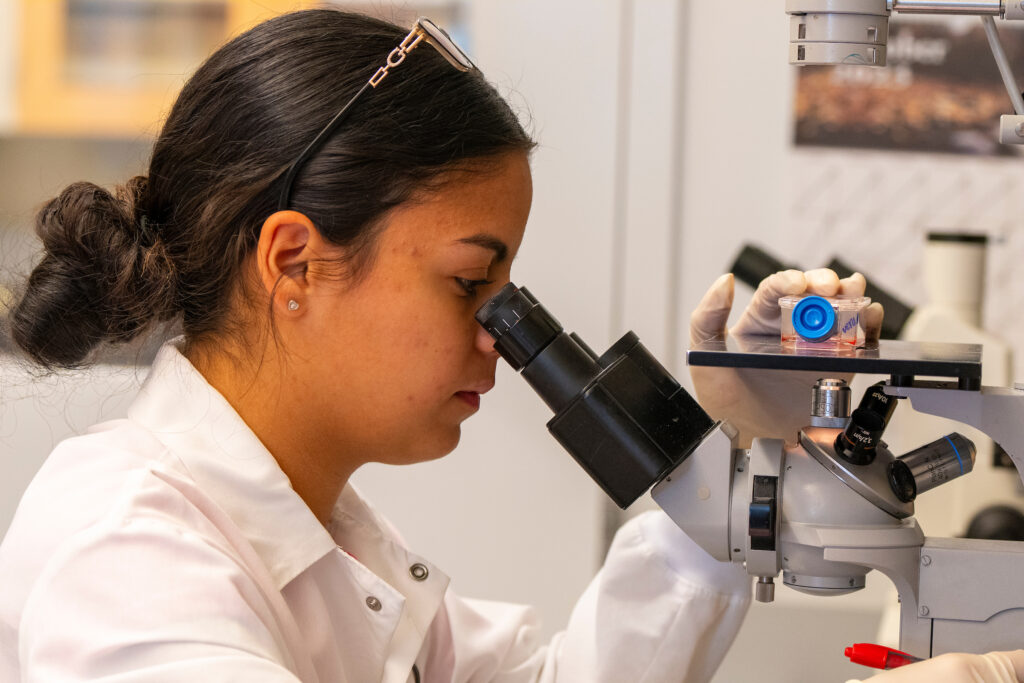 person looking into microscope