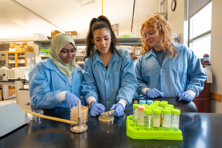 Three female students preparing petri dishes in a lab