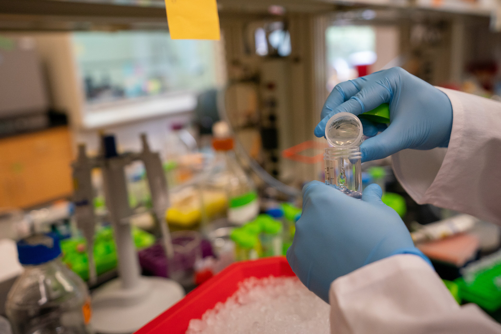 gloved hands pouring liquid into tube
