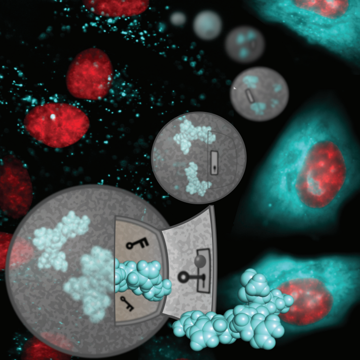 Enzymology