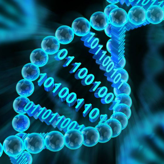 Model of DNA with binary code